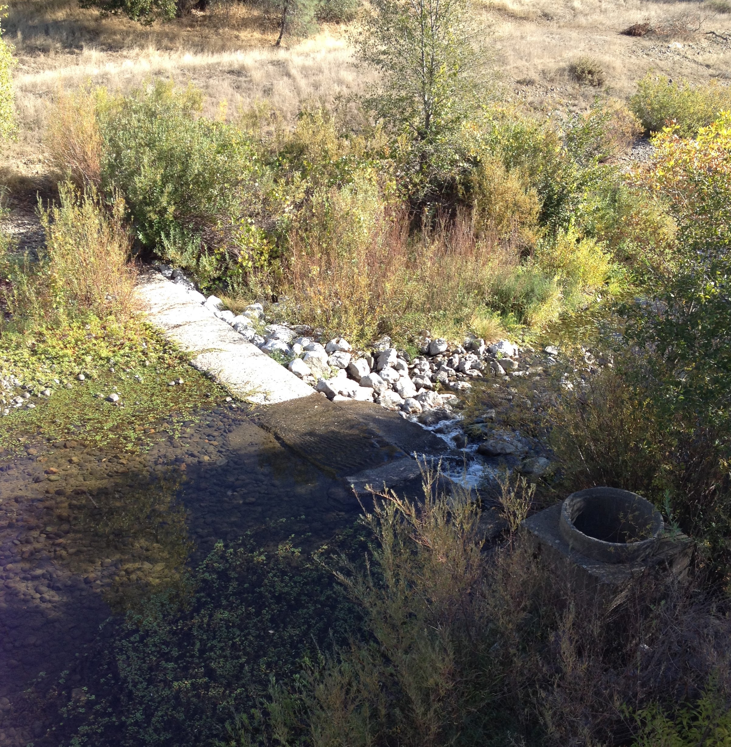 Picture of the barrier in North Cow Creek looking from the side